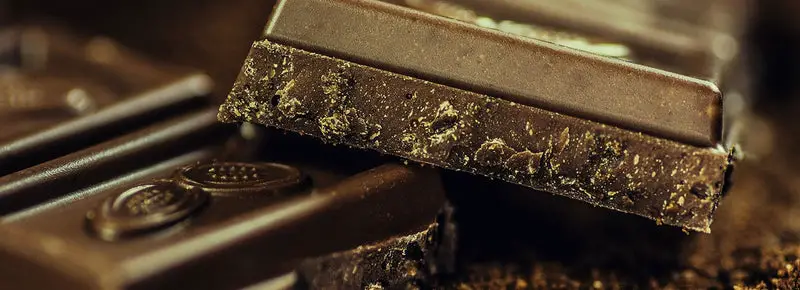 Can Cats Eat Chocolate? (The Short Answer Is No)