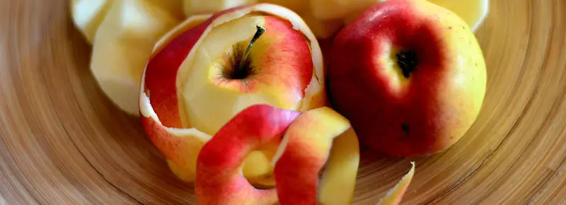 Can Dogs Eat Apple Skin?