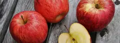 Can Dogs Eat Apples? (A Complete Guide)