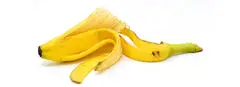 Can Dogs Eat Banana Chips? (A Complete Guide)