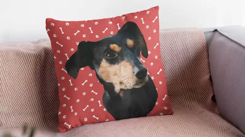 Custom Pet Pillows