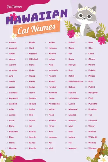 Hawaiian Cat Names With Meanings 0 Awesome Ideas Pet Pattern Hawaiian Cat Names With Meanings 0 Awesome Ideas Pet Pattern